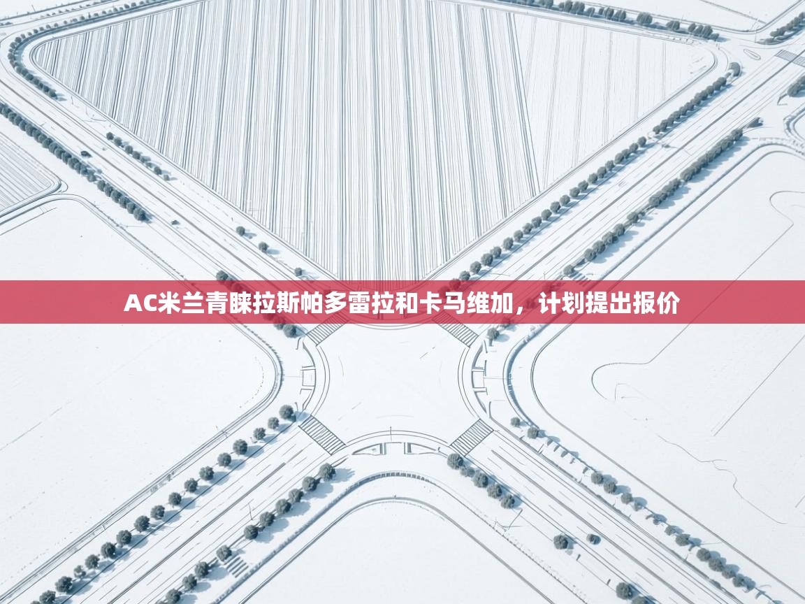 爱游戏体育官网app-AC米兰青睐拉斯帕多雷拉和卡马维加，计划提出报价  第3张